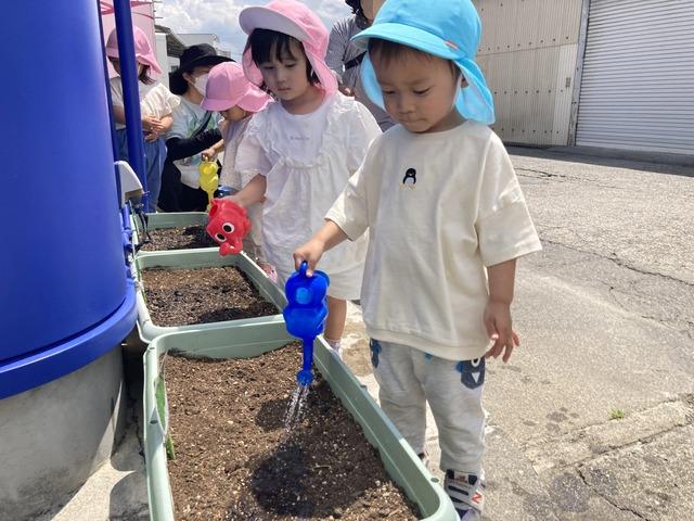 ふれんどぱーくで「野菜の種まき」をしました！